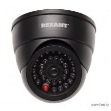 Муляж камеры REXANT, внутренний, купольный с вращающимся объективом, черный
