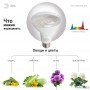 Лампа для растений ЭРА LED FITO-15W-Ra90-2150K-E27