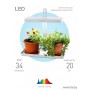Настольный светильник FITO для растений ЭРА FITO-20W-QLED-W