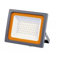 50Вт Прожектор светодиодный JAZZWAY PFL-SC -50W 3000K IP65