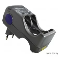 Зарядное устройство SD250-4 Robiton